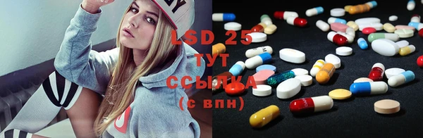 PSILOCYBIN Краснослободск