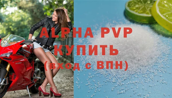 СК Куйбышев