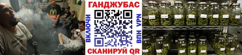 Каннабис ГИДРОПОН Купить Мосальск